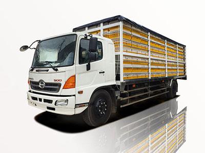 Discover the Best Deals: CV515 for Sale, Know - How