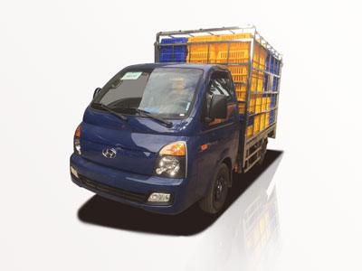 Chevy Refrigerated Van for Sale: A Comprehensive Buying Guide, Know - How